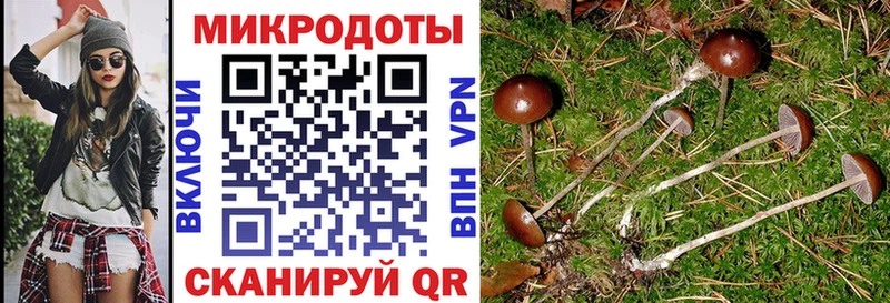 Галлюциногенные грибы мухоморы  Купить  Горбатов 